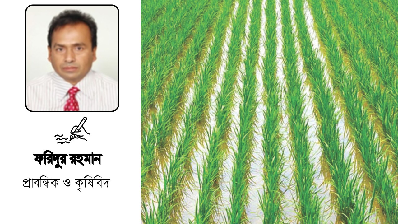 মধ্যপ্রাচ্যের যুদ্ধের প্রভাব ফসলের মাঠে!